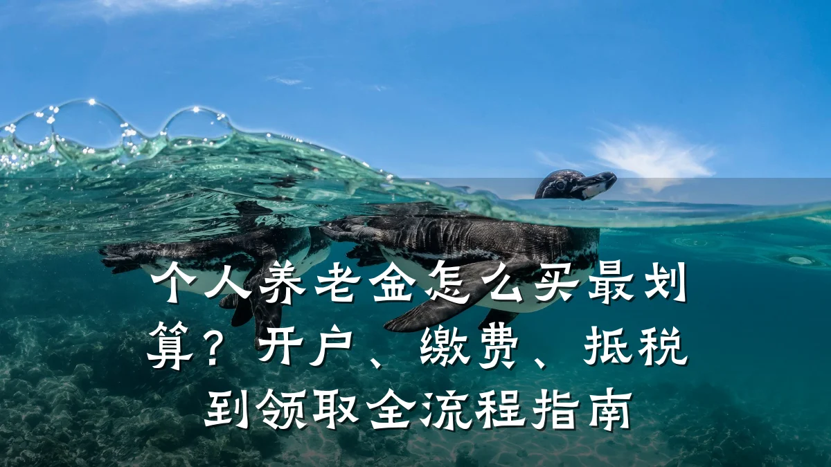 个人养老金怎么买最划算？开户、缴费、抵税到领取全流程指南