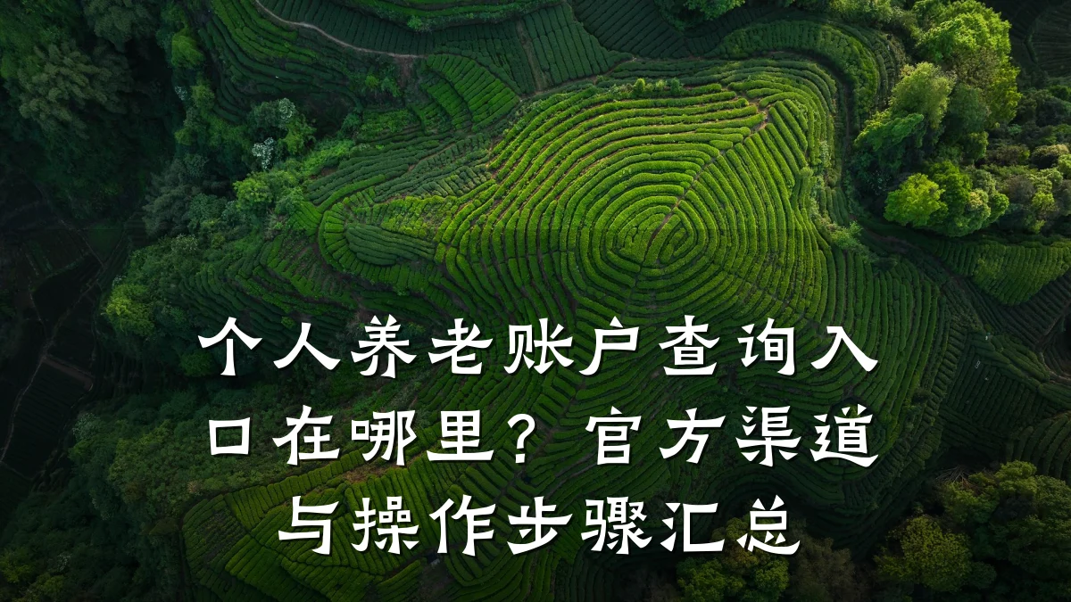 个人养老账户查询入口在哪里?官方渠道与操作步骤汇总