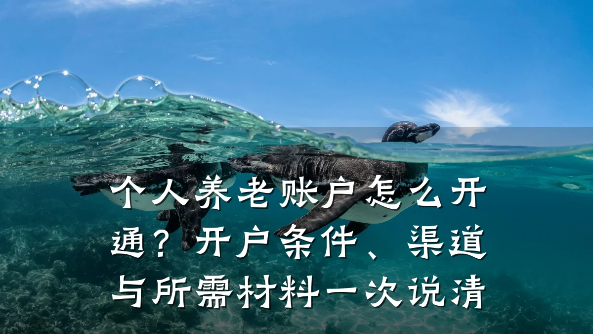 个人养老账户怎么开通?开户条件、渠道与所需材料一次说清