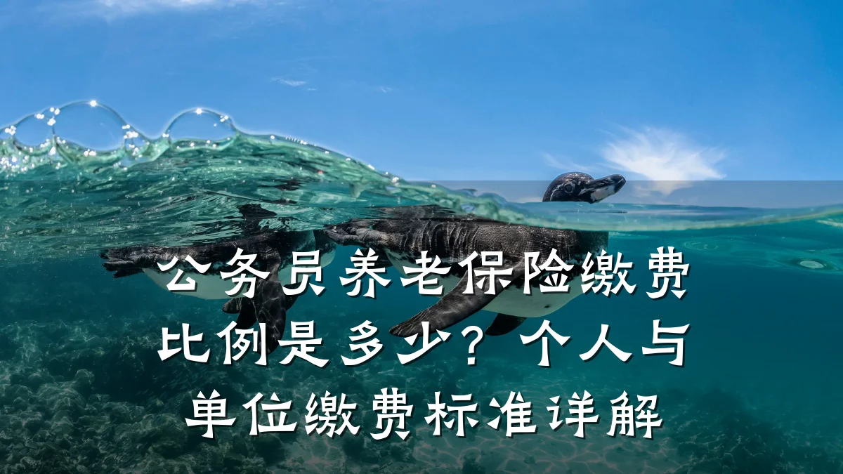 公务员养老保险缴费比例是多少?个人与单位缴费标准详解