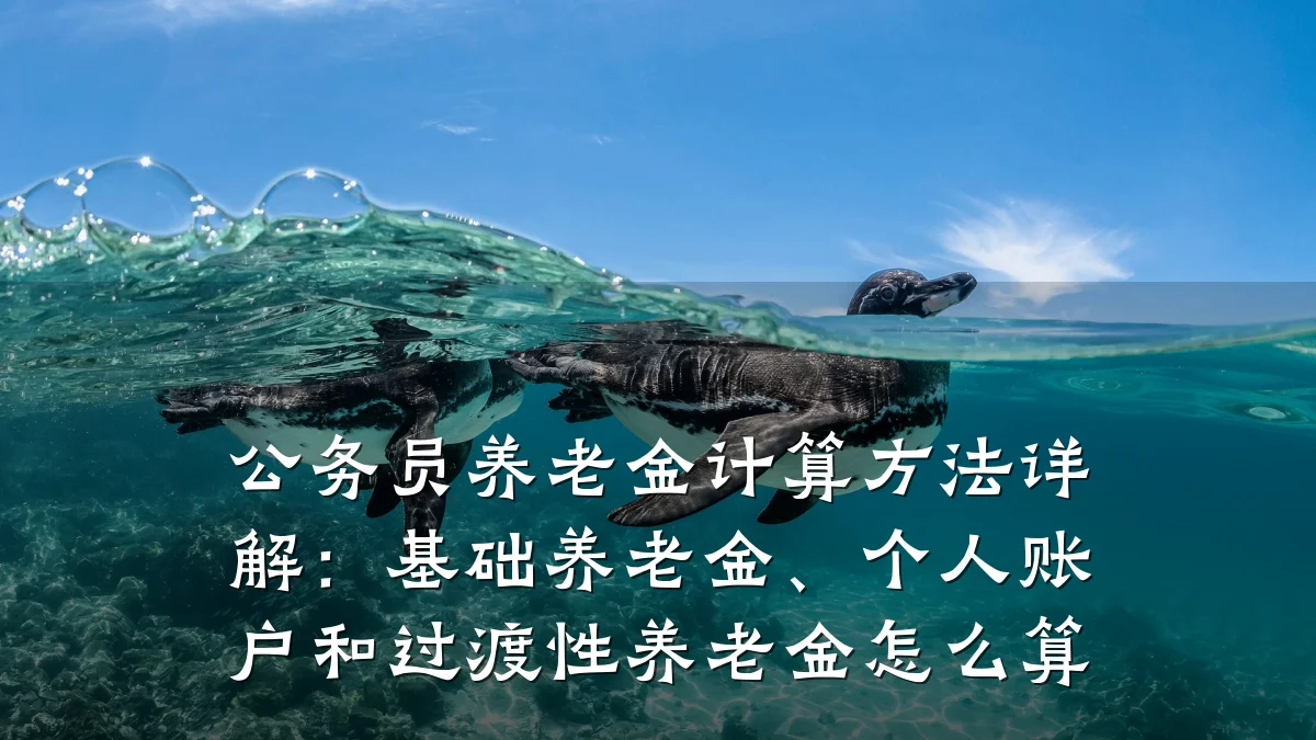 公务员养老金计算方法详解：基础养老金、个人账户和过渡性养老金怎么算