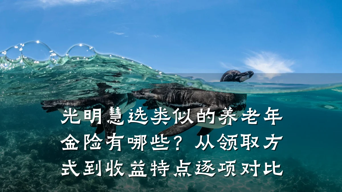 光明慧选类似的养老年金险有哪些？从领取方式到收益特点逐项对比
