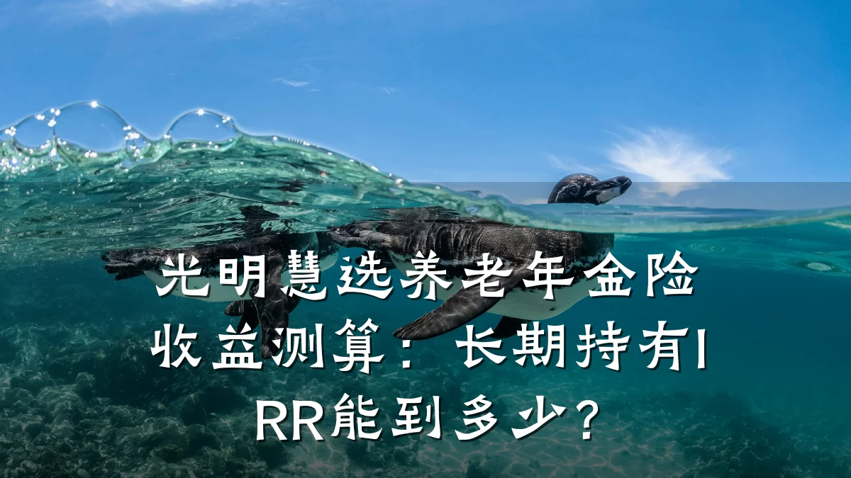 光明慧选养老年金险收益测算:长期持有IRR能到多少?