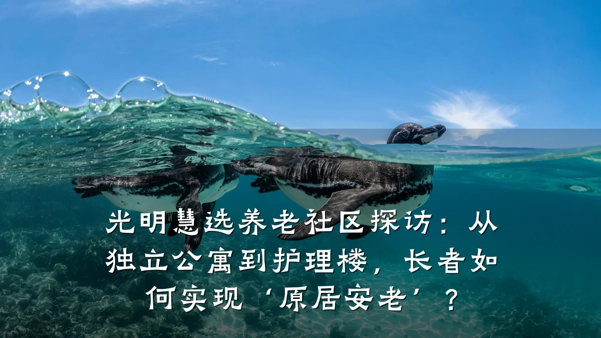 光明慧选养老社区探访：从独立公寓到护理楼，长者如何实现‘原居安老’？