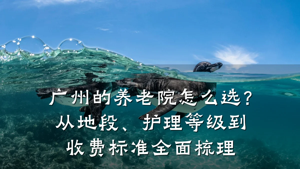 广州的养老院怎么选?从地段、护理等级到收费标准全面梳理