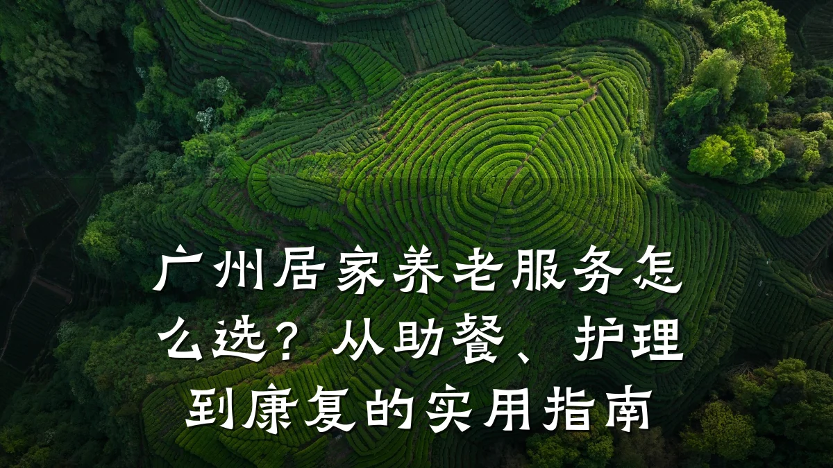 广州居家养老服务怎么选?从助餐、护理到康复的实用指南