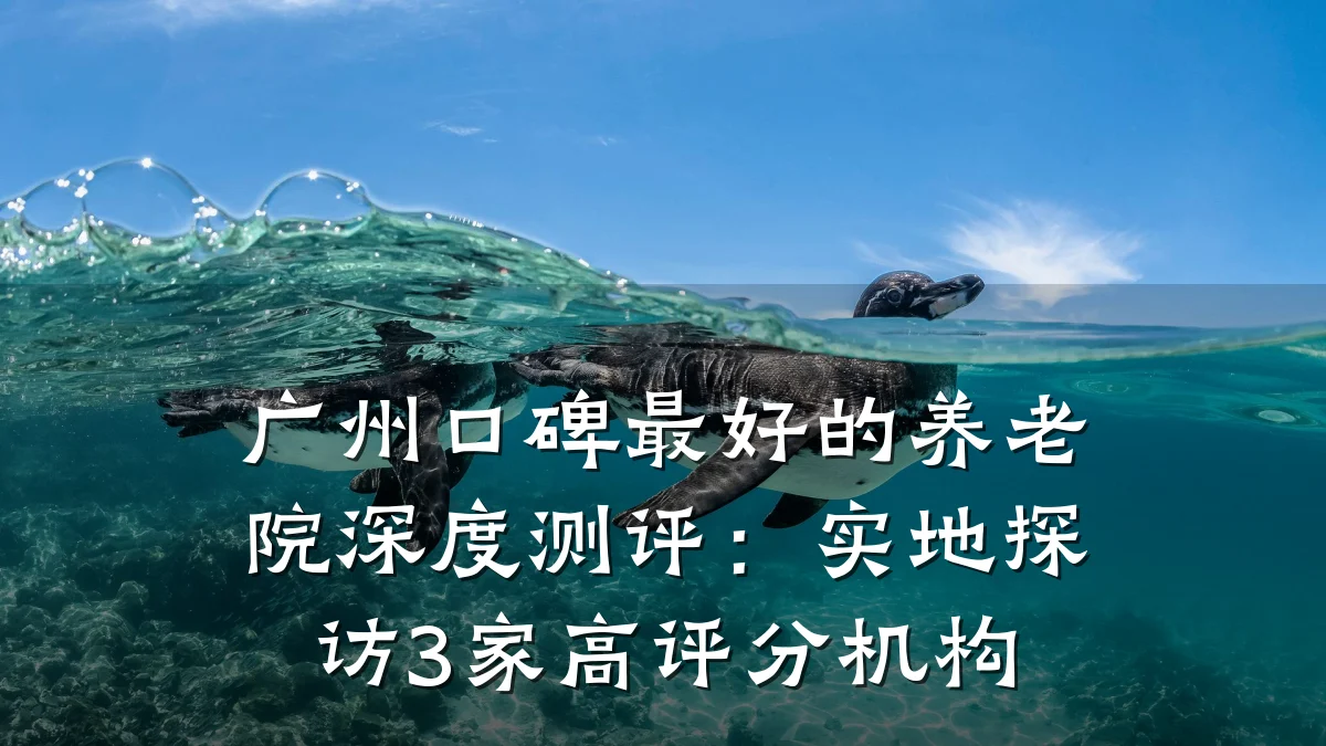 广州口碑最好的养老院深度测评：实地探访3家高评分机构