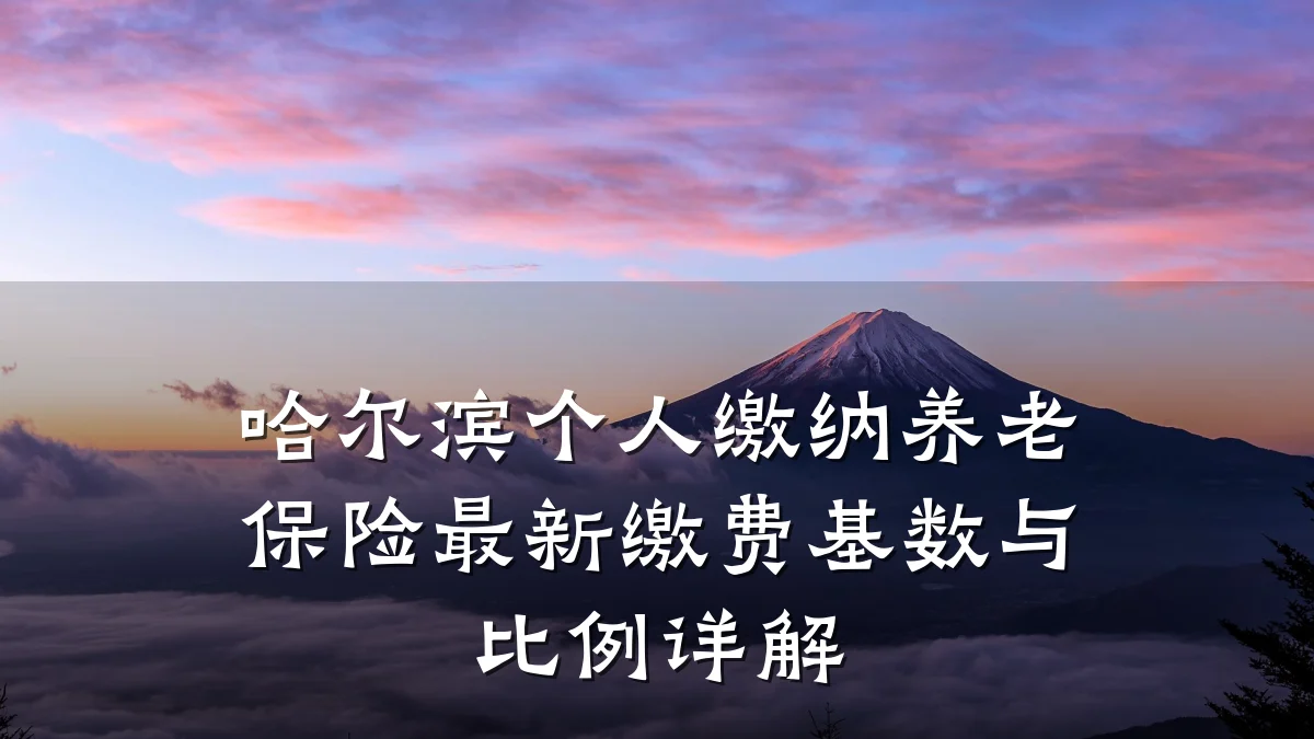 哈尔滨个人缴纳养老保险最新缴费基数与比例详解