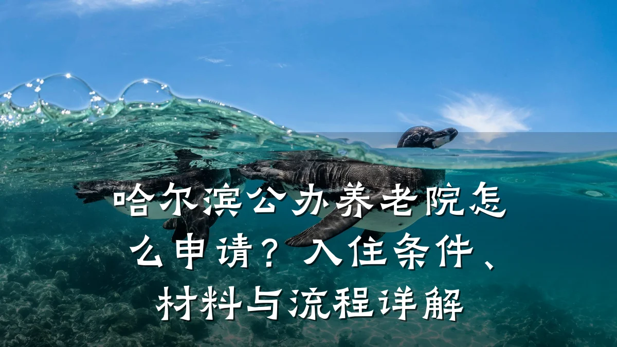 哈尔滨公办养老院怎么申请?入住条件、材料与流程详解