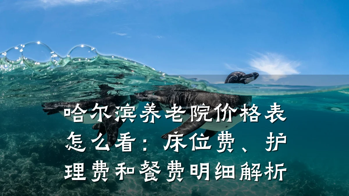 哈尔滨养老院价格表怎么看:床位费、护理费和餐费明细解析