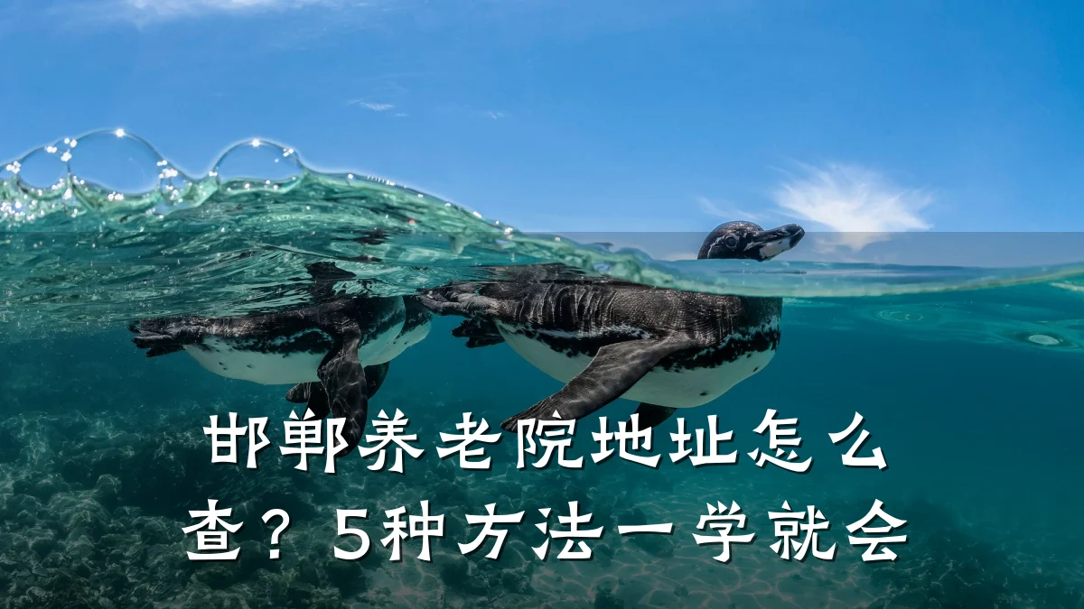 邯郸养老院地址怎么查?5种方法一学就会