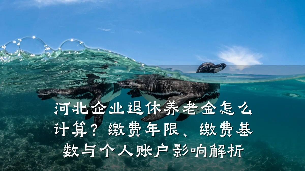 河北企业退休养老金怎么计算？缴费年限、缴费基数与个人账户影响解析