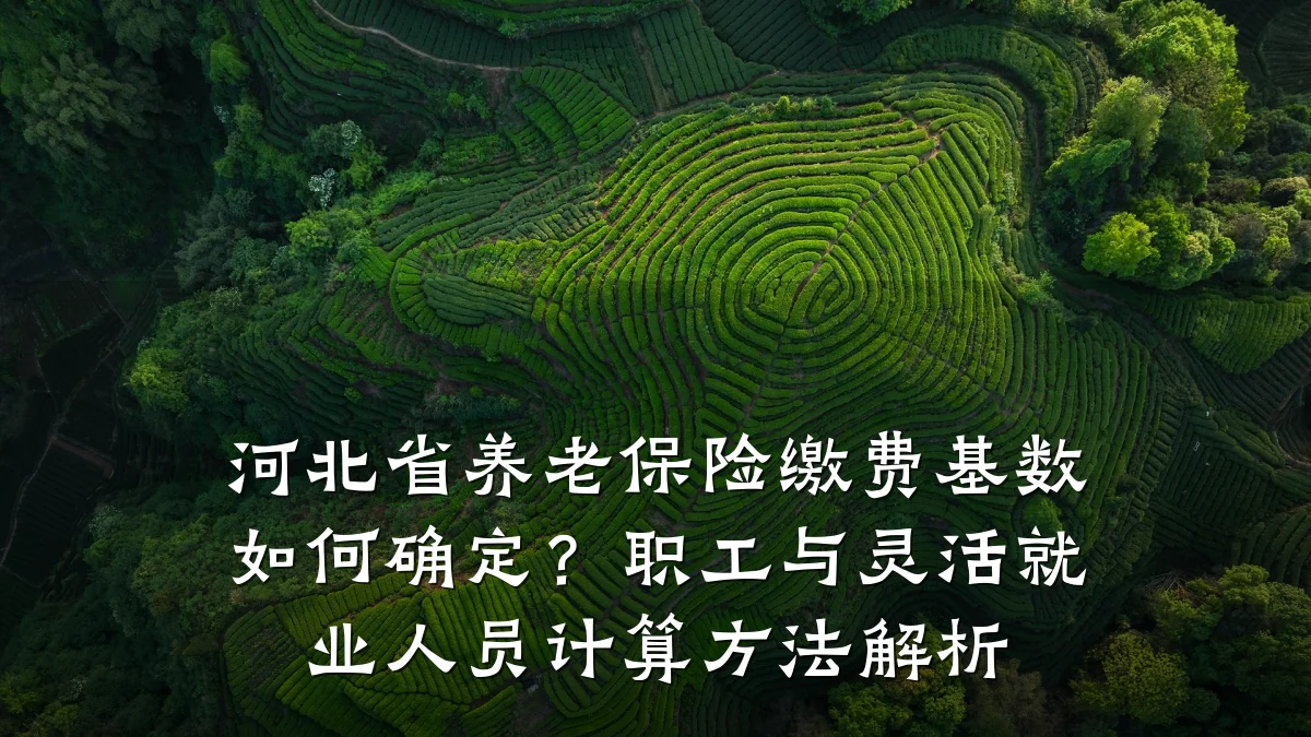 河北省养老保险缴费基数如何确定?职工与灵活就业人员计算方法解析