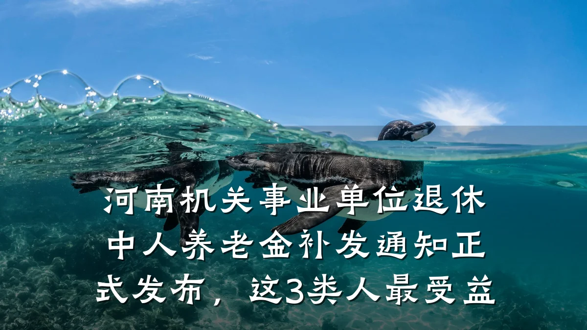 河南机关事业单位退休中人养老金补发通知正式发布，这3类人最受益