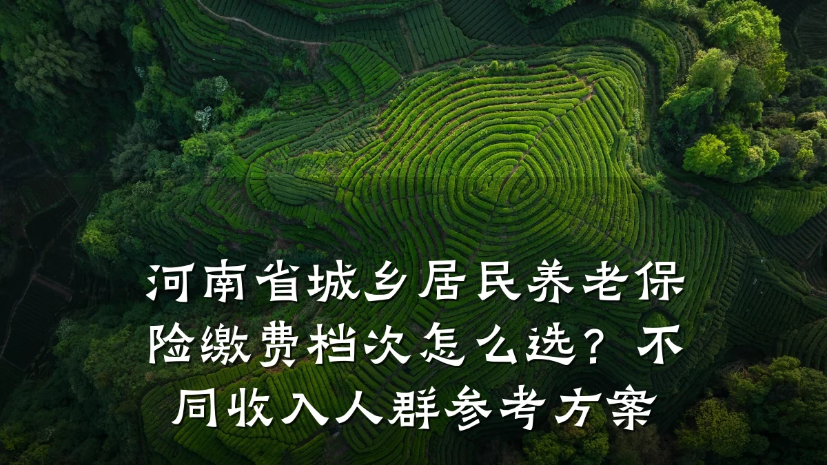 河南省城乡居民养老保险缴费档次怎么选？不同收入人群参考方案