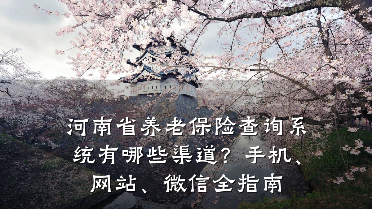 河南省养老保险查询系统有哪些渠道?手机、网站、微信全指南