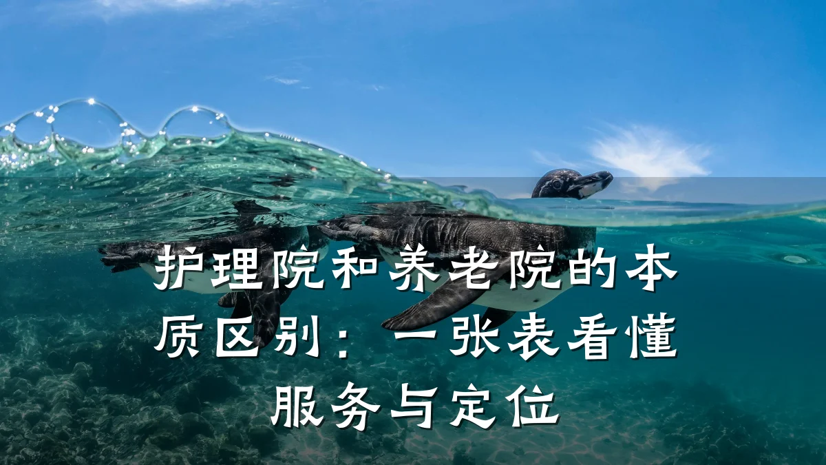 护理院和养老院的本质区别:一张表看懂服务与定位
