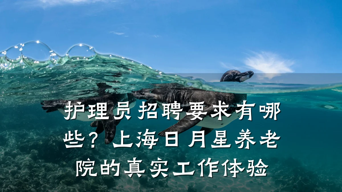 护理员招聘要求有哪些?上海日月星养老院的真实工作体验