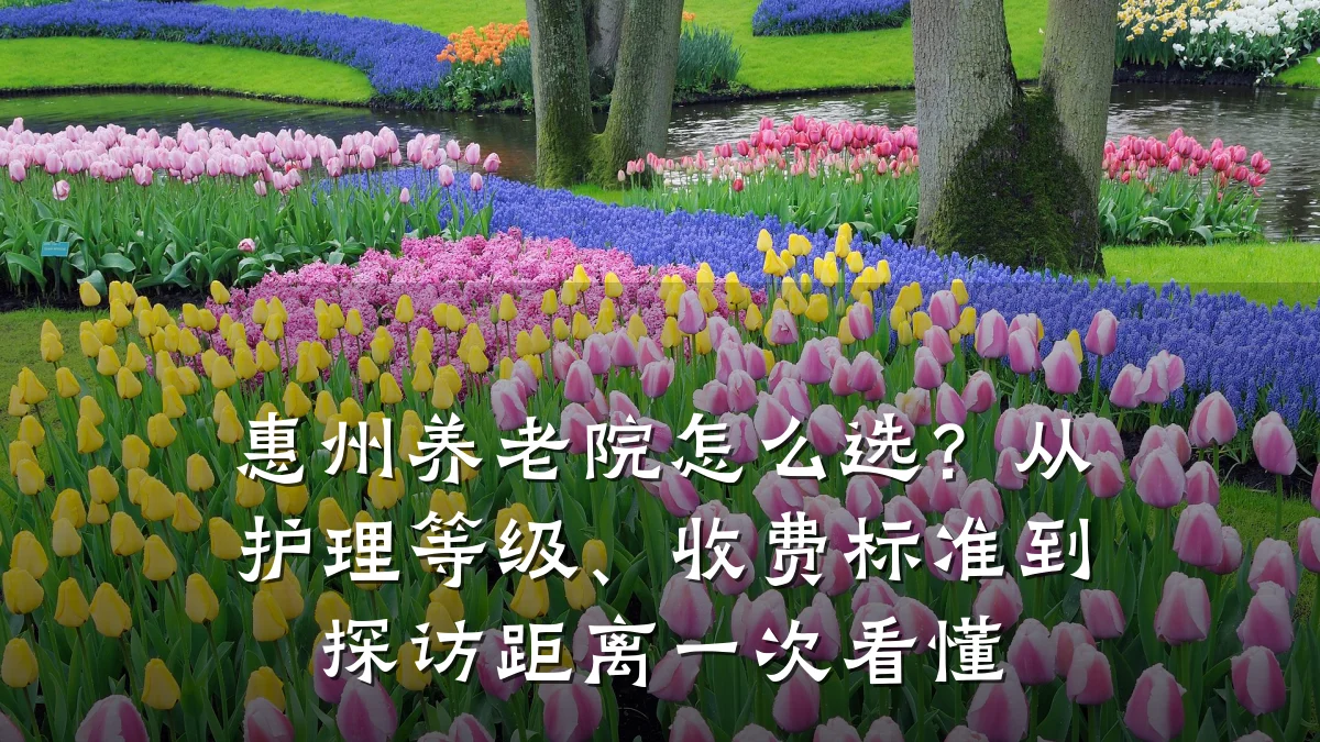 惠州养老院怎么选?从护理等级、收费标准到探访距离一次看懂