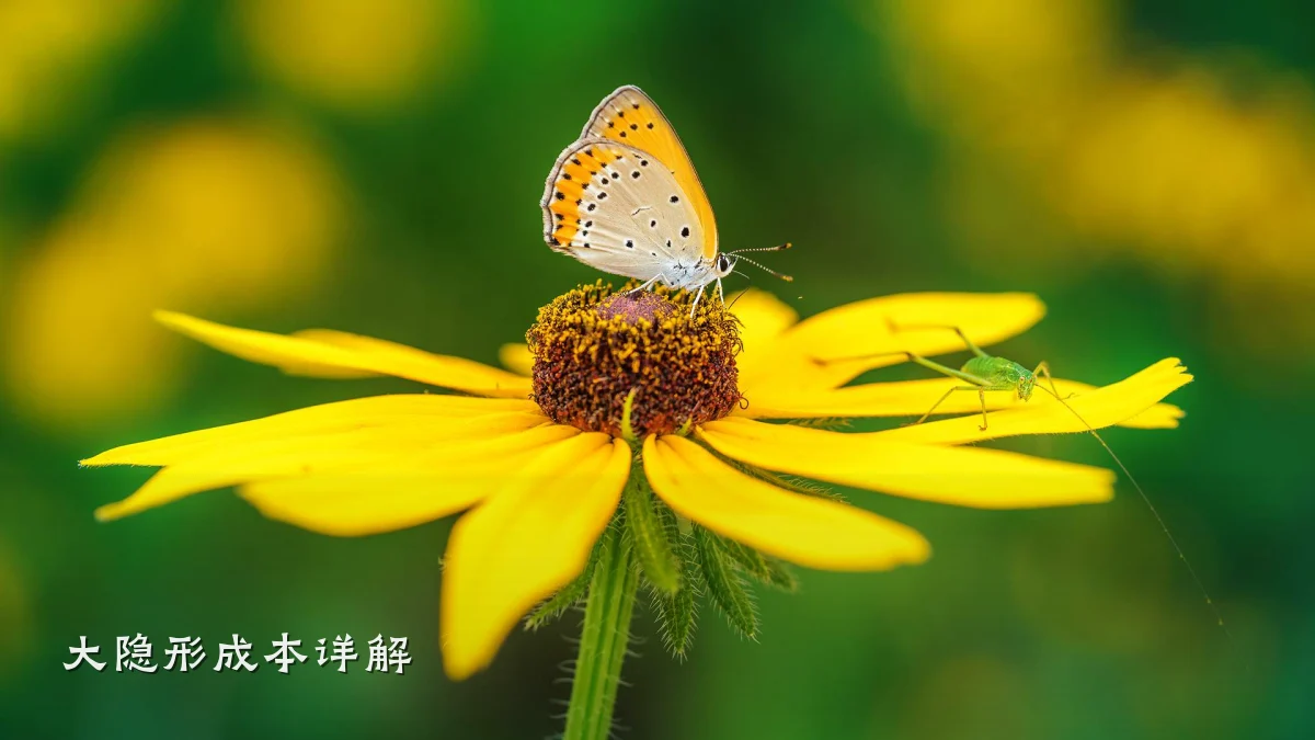 大隐形成本详解