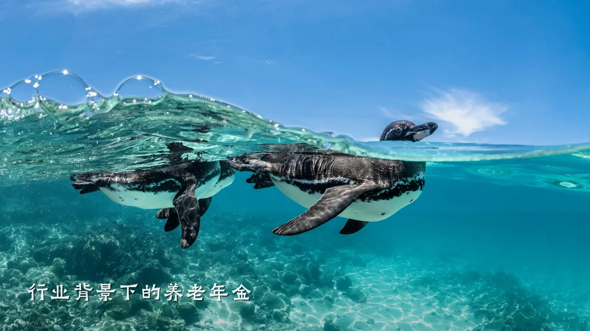 行业背景下的养老年金