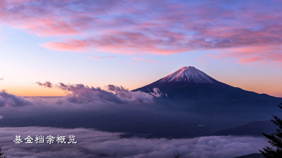 基金档案概览