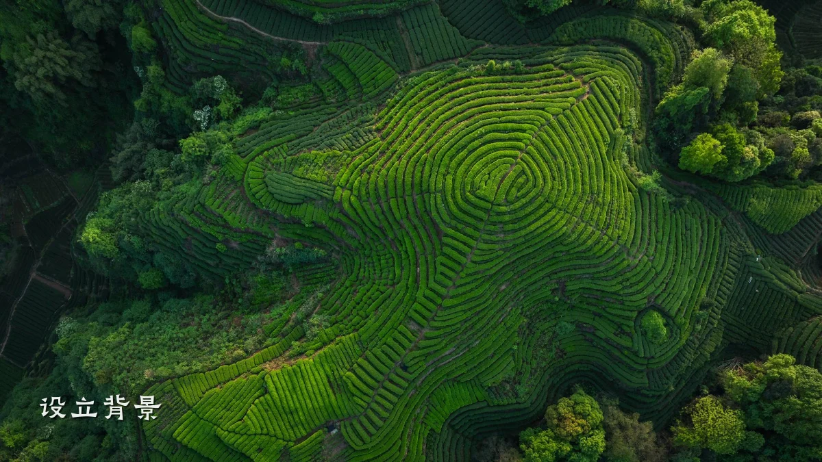 设立背景
