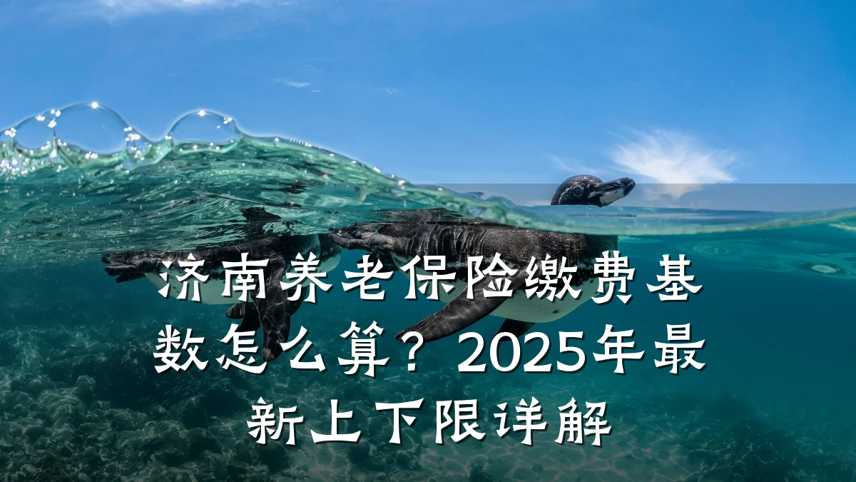济南养老保险缴费基数怎么算?2025年最新上下限详解
