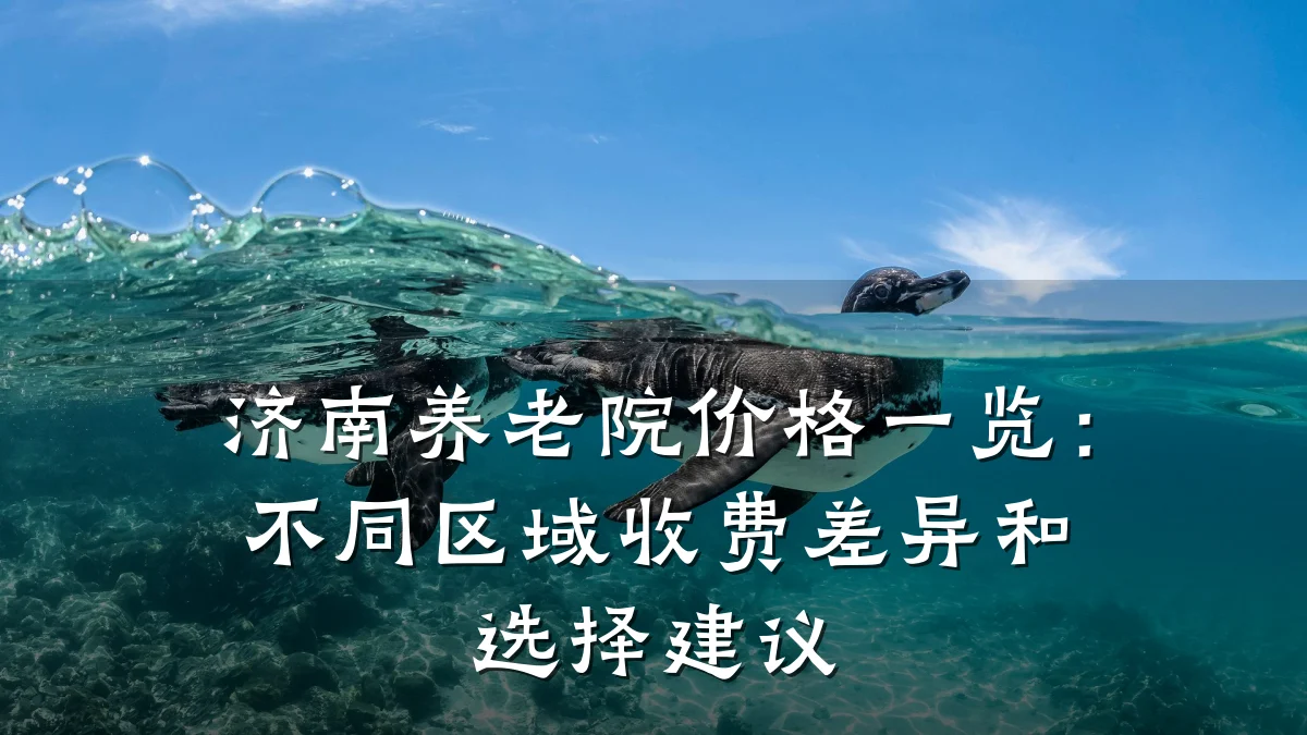 济南养老院价格一览:不同区域收费差异和选择建议