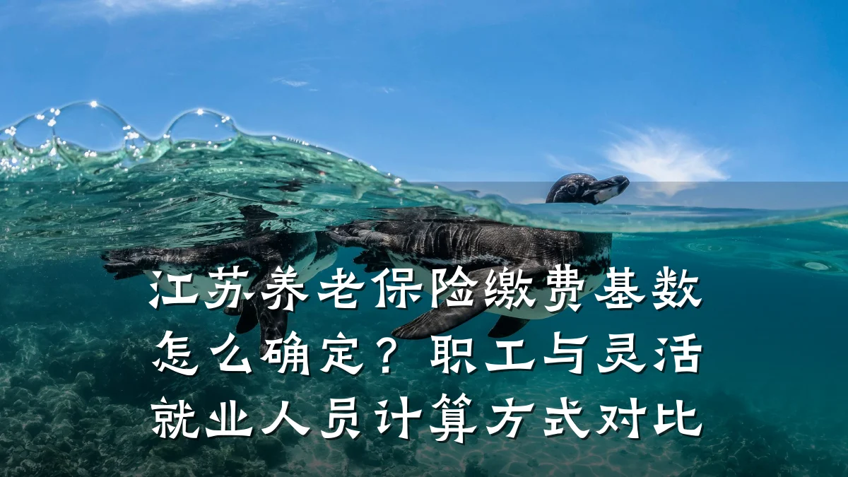 江苏养老保险缴费基数怎么确定？职工与灵活就业人员计算方式对比