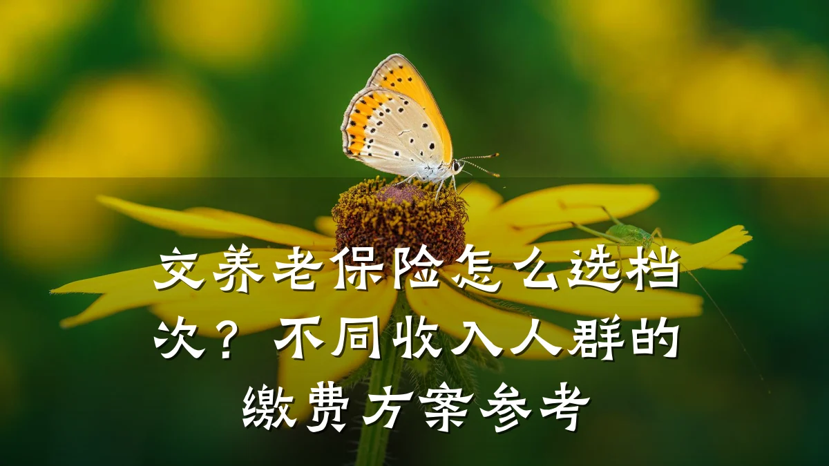 交养老保险怎么选档次?不同收入人群的缴费方案参考