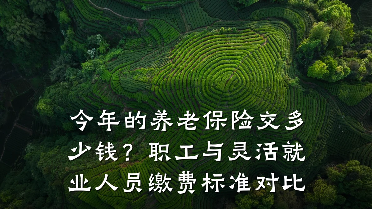 今年的养老保险交多少钱？职工与灵活就业人员缴费标准对比