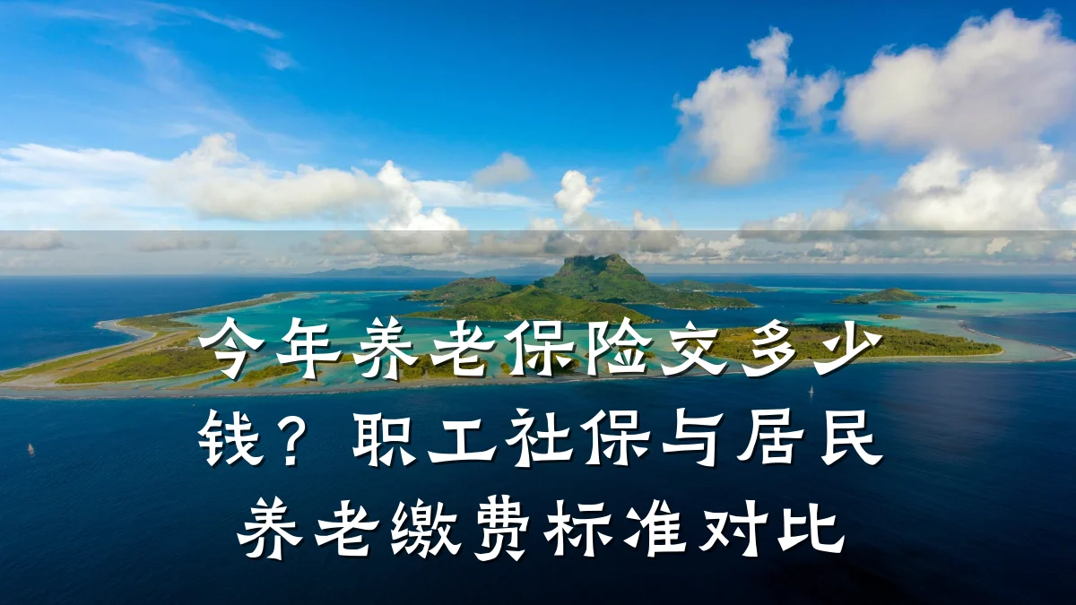 今年养老保险交多少钱？职工社保与居民养老缴费标准对比