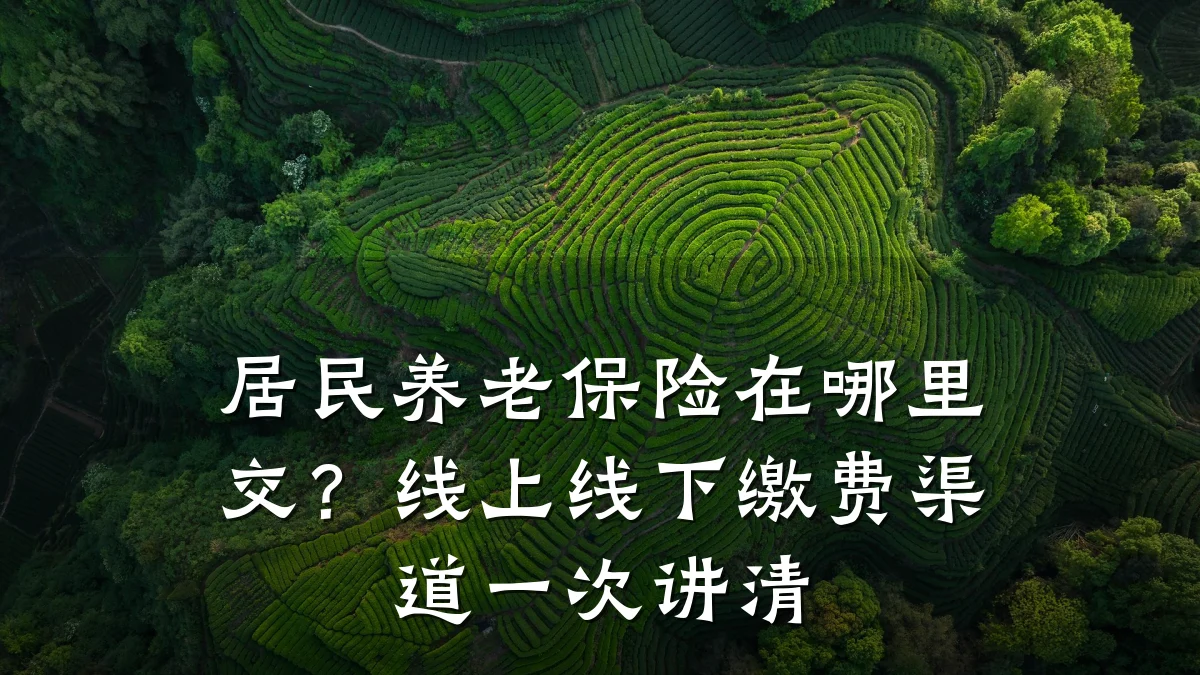 居民养老保险在哪里交?线上线下缴费渠道一次讲清