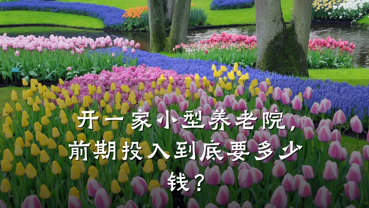 开一家小型养老院，前期投入到底要多少钱？