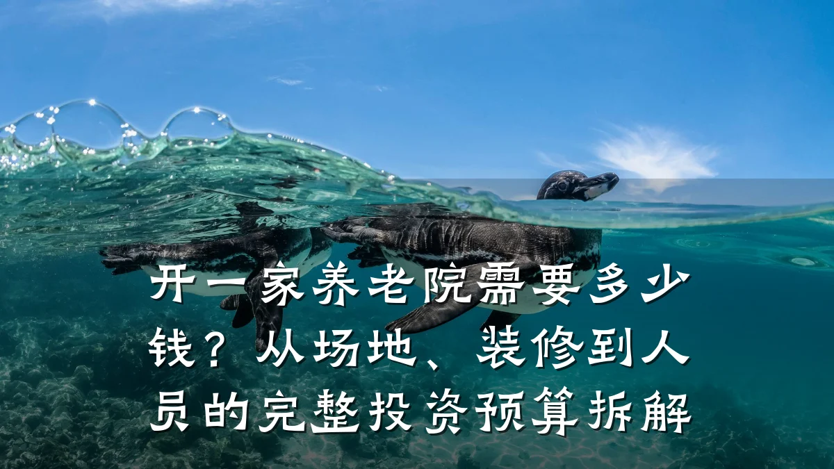 开一家养老院需要多少钱？从场地、装修到人员的完整投资预算拆解