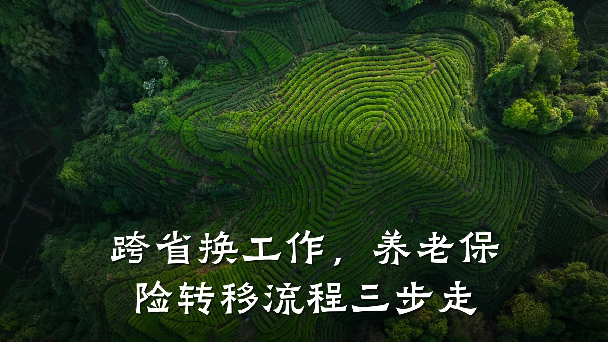 跨省换工作，养老保险转移流程三步走