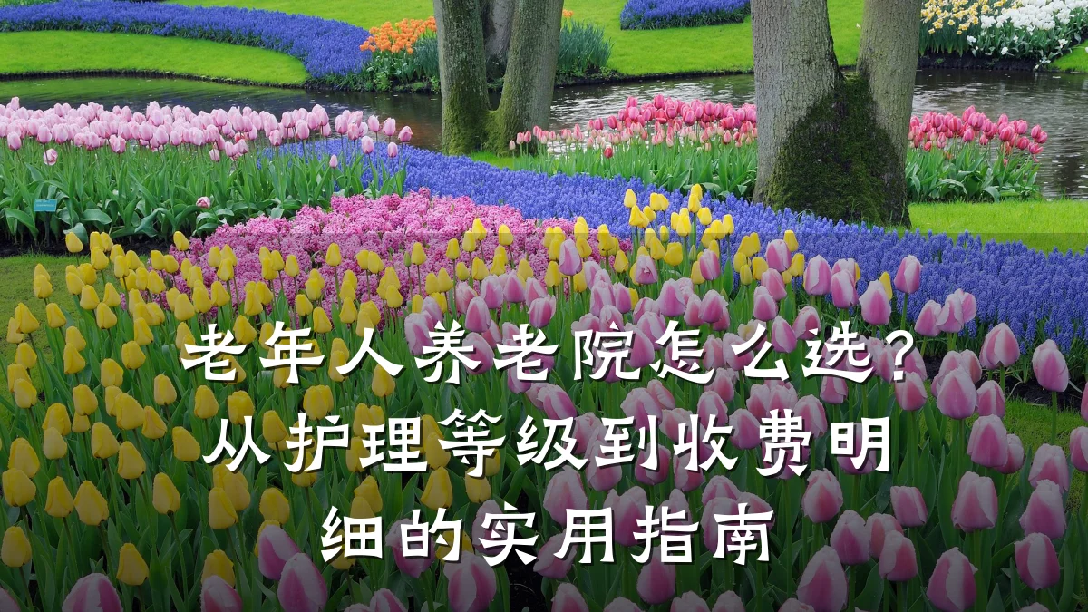 老年人养老院怎么选?从护理等级到收费明细的实用指南