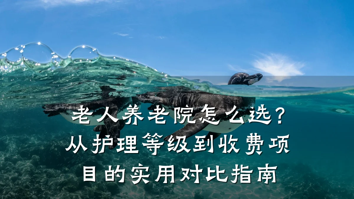 老人养老院怎么选?从护理等级到收费项目的实用对比指南