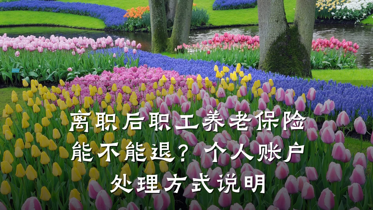 离职后职工养老保险能不能退？个人账户处理方式说明