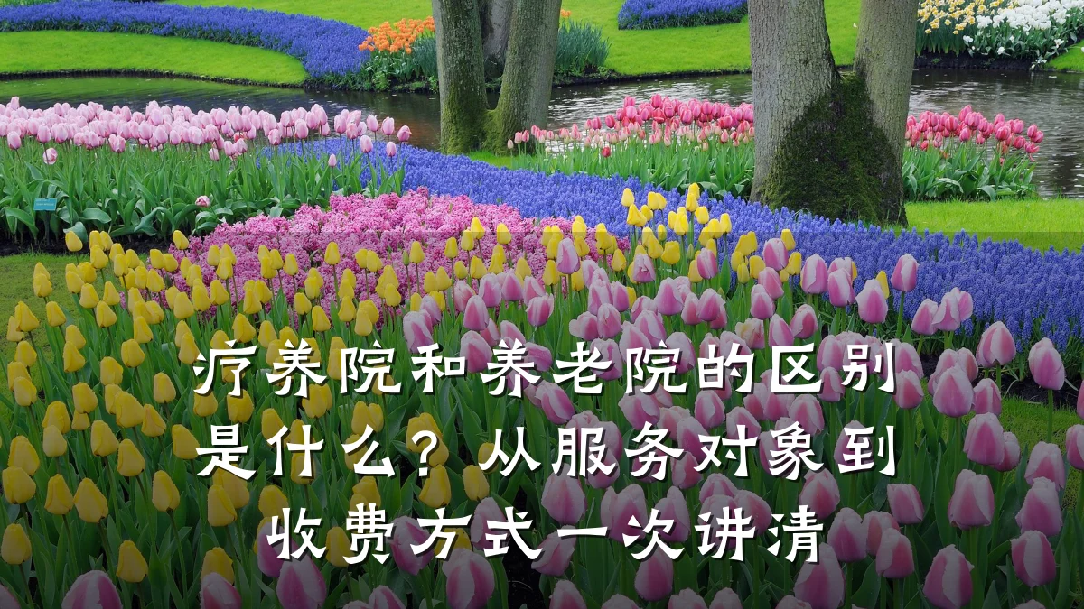 疗养院和养老院的区别是什么?从服务对象到收费方式一次讲清