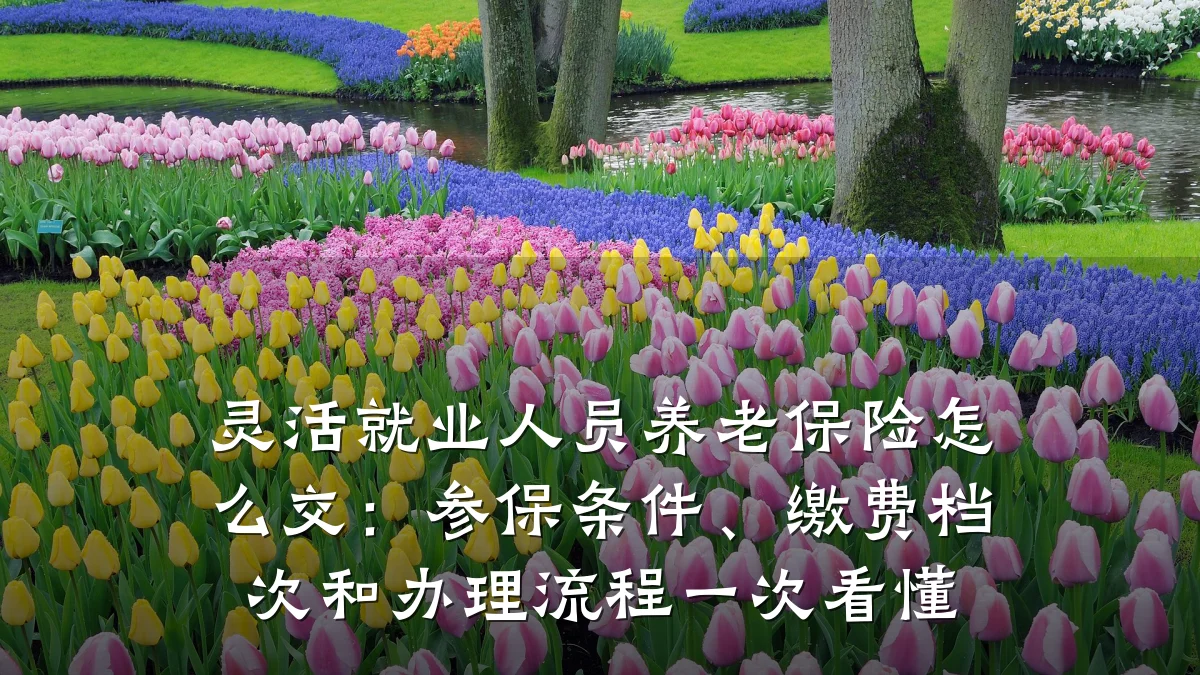 灵活就业人员养老保险怎么交：参保条件、缴费档次和办理流程一次看懂
