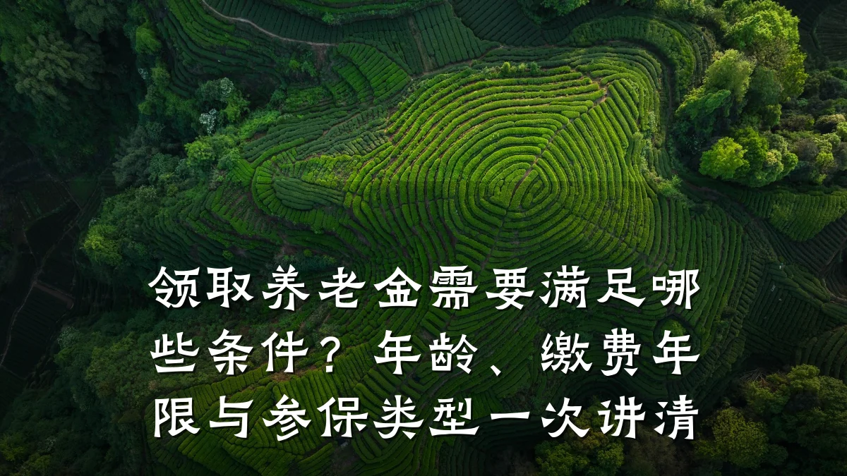 领取养老金需要满足哪些条件?年龄、缴费年限与参保类型一次讲清