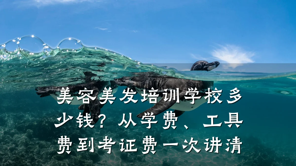 美容美发培训学校多少钱?从学费、工具费到考证费一次讲清