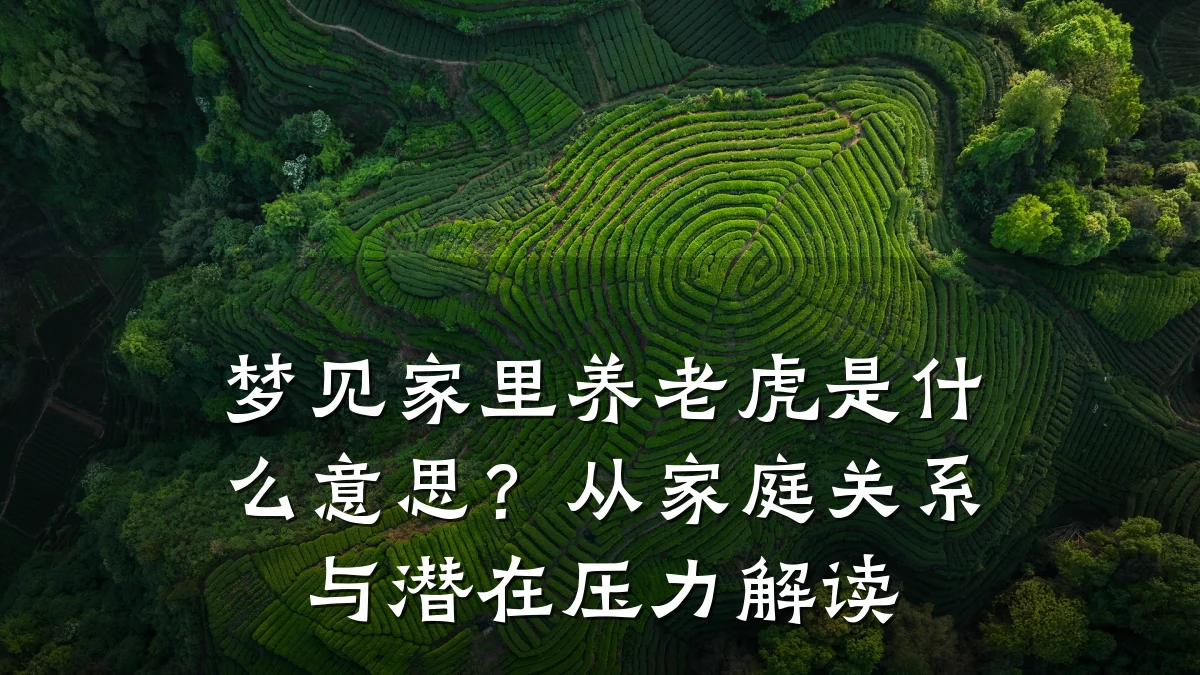 梦见家里养老虎是什么意思?从家庭关系与潜在压力解读
