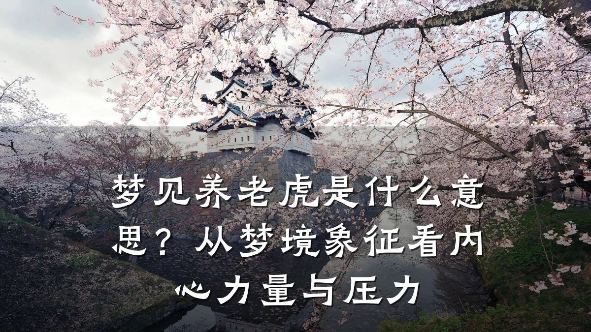 梦见养老虎是什么意思?从梦境象征看内心力量与压力