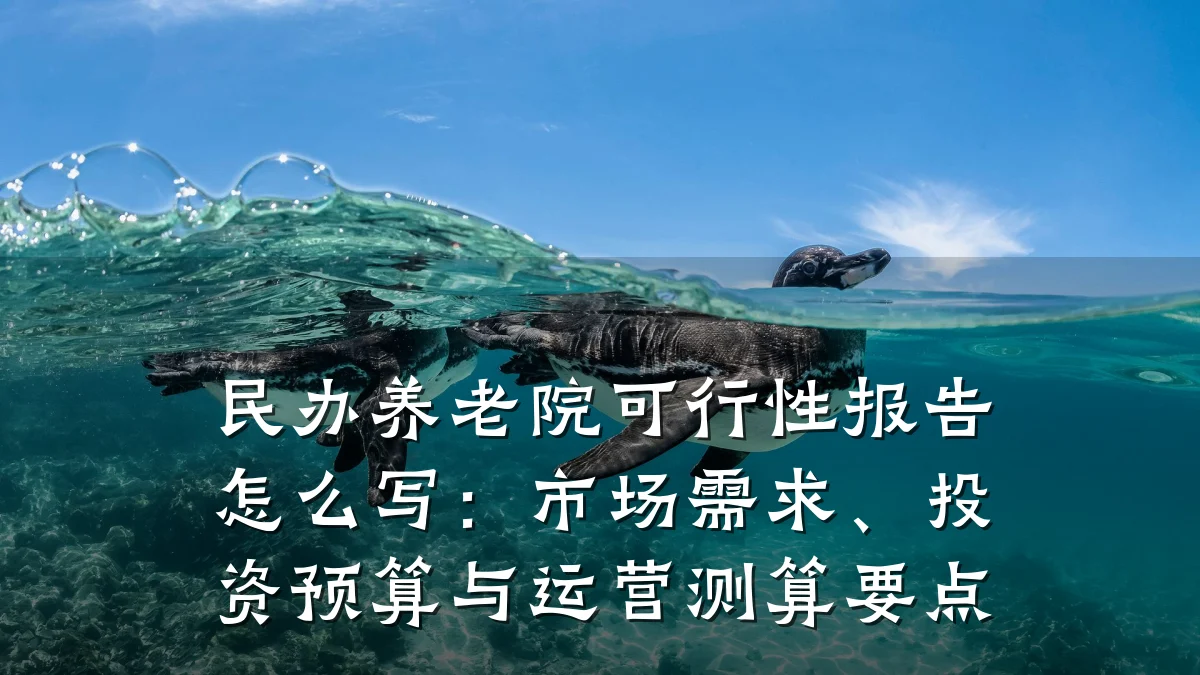 民办养老院可行性报告怎么写:市场需求、投资预算与运营测算要点