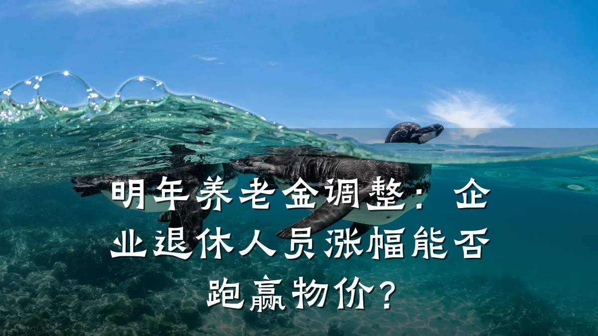 明年养老金调整:企业退休人员涨幅能否跑赢物价?