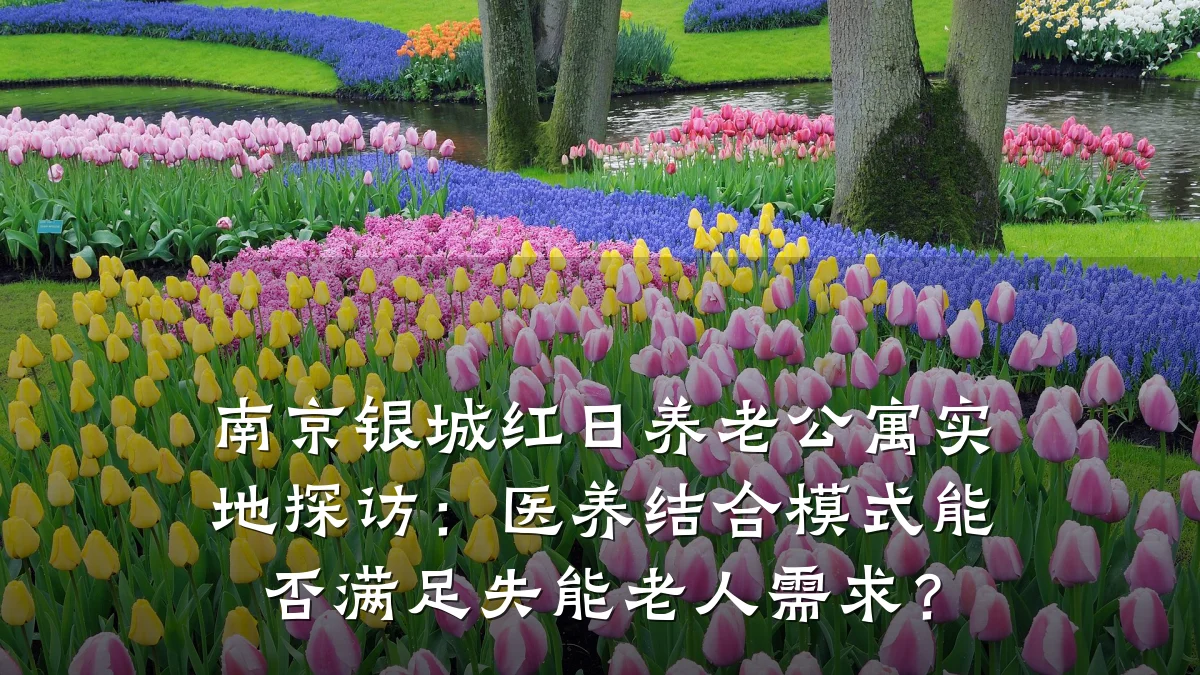 南京银城红日养老公寓实地探访：医养结合模式能否满足失能老人需求？