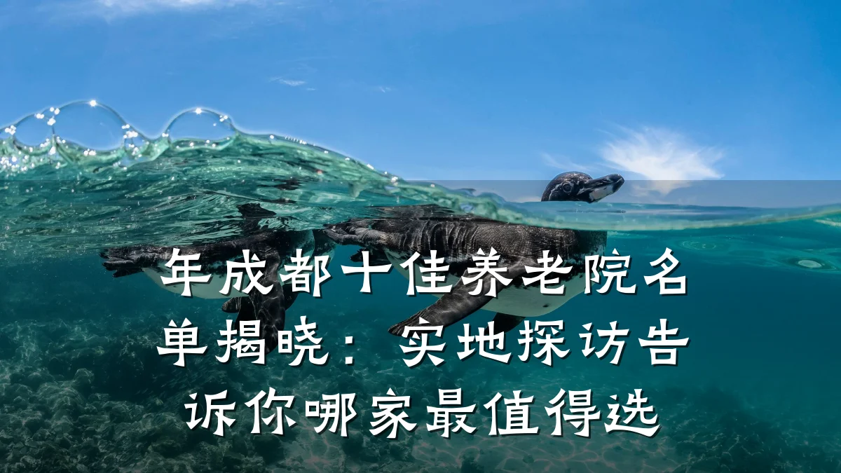 年成都十佳养老院名单揭晓:实地探访告诉你哪家最值得选